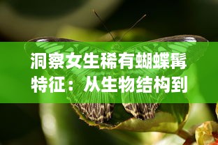 洞察女生稀有蝴蝶髯特征：从生物结构到颜色分布的详细解析 v3.8.4下载