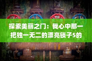 探索美丽之门：我心中那一把独一无二的漂亮锁子5的神秘与魅力