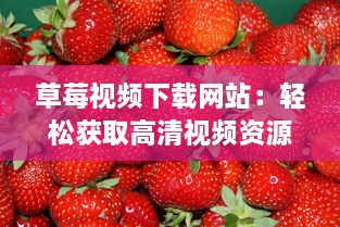 草莓视频下载网站：轻松获取高清视频资源，满足您全方位的观影需求 v5.8.3下载