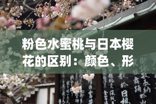 粉色水蜜桃与日本樱花的区别：颜色、形状、生长环境和文化象征解析