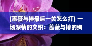 (蔷薇与椿最后一关怎么打) 一场深情的交织：蔷薇与椿的绚丽爱情故事与生命哲学探索