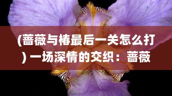 (蔷薇与椿最后一关怎么打) 一场深情的交织：蔷薇与椿的绚丽爱情故事与生命哲学探索