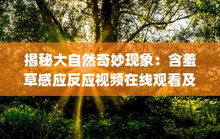 揭秘大自然奇妙现象：含羞草感应反应视频在线观看及科学原理解析