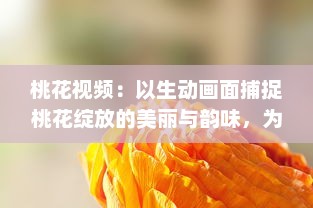 桃花视频：以生动画面捕捉桃花绽放的美丽与韵味，为您带来视觉与感觉的双重享受 v7.9.9下载