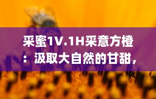 采蜜1V.1H采意方橙：汲取大自然的甘甜，品尝专家精心挑选的独特水果味道