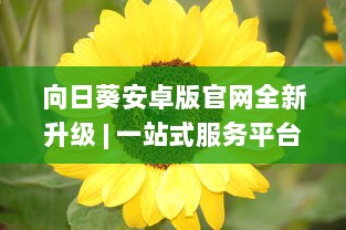 向日葵安卓版官网全新升级 | 一站式服务平台 | 官方直达下载，安全放心