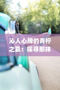 沁人心脾的青柠之夏：探寻那抹唤醒生活色彩的独特清新魅力 v4.5.8下载