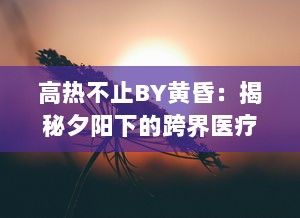 高热不止BY黄昏：揭秘夕阳下的跨界医疗故事，触探生命的热度与无尽希望