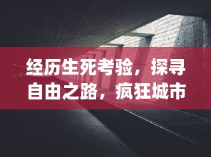 经历生死考验，探寻自由之路，疯狂城市4逃出监狱 以巧妙策略走向绝地逢生