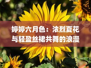 婷婷六月色：浓烈夏花与轻盈丝裙共舞的浪漫季节 v2.0.4下载