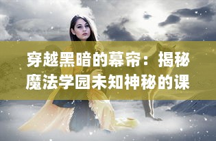 穿越黑暗的幕帘：揭秘魔法学园未知神秘的课程与任性独特的魔法师生活