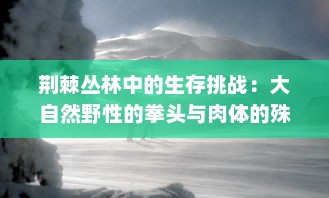 荆棘丛林中的生存挑战：大自然野性的拳头与肉体的殊死肉搏 v5.5.4下载