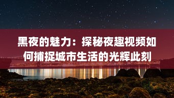 黑夜的魅力：探秘夜趣视频如何捕捉城市生活的光辉此刻