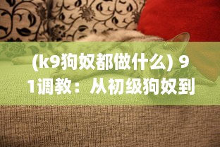 (k9狗奴都做什么) 91调教：从初级狗奴到高级狗奴的全程控制与引导策略