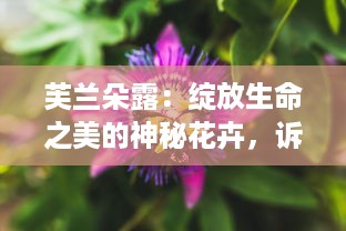 芙兰朵露：绽放生命之美的神秘花卉，诉说无尽的浪漫与传奇 v4.0.5下载