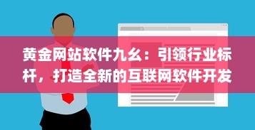 黄金网站软件九幺：引领行业标杆，打造全新的互联网软件开发与服务体验 v3.5.5下载