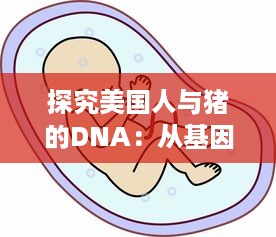 探究美国人与猪的DNA：从基因相似性到医学研究的深远影响 v7.2.8下载