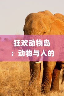 狂欢动物岛：动物与人的奇妙冒险之旅，探秘未知世界的壮丽风采