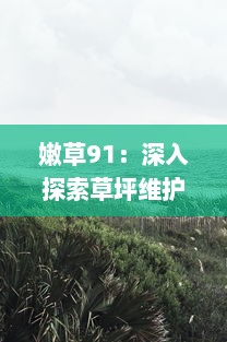 嫩草91：深入探索草坪维护与美化的专业知识，打造完美绿意空间