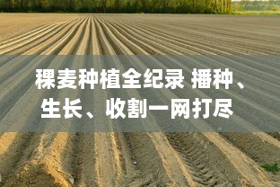 稞麦种植全纪录 播种、生长、收割一网打尽 跟随稞麦视频，探索农耕文化的奥秘。