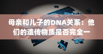 母亲和儿子的DNA关系：他们的遗传物质是否完全一样 v9.3.1下载