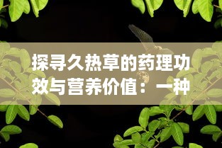 探寻久热草的药理功效与营养价值：一种潜力无穷的草本植物资源