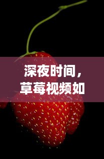 深夜时间，草莓视频如何成为年轻人放松心情的新娱乐方式探究 v6.5.6下载