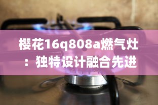 樱花16q808a燃气灶：独特设计融合先进科技，让烹饪过程更加便捷流畅