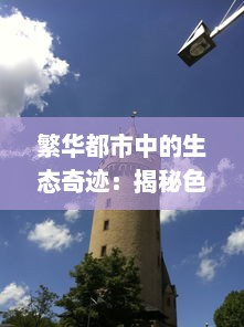 繁华都市中的生态奇迹：揭秘色蜂的生存状态与环境适应能力 v8.4.9下载