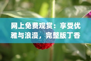 网上免费观赏：享受优雅与浪漫，完整版丁香花视频在线播放，靠近大自然的桥梁