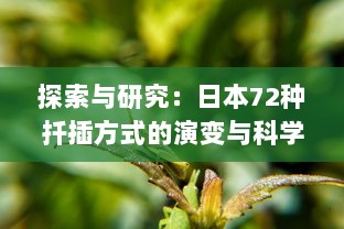 探索与研究：日本72种扦插方式的演变与科学含义 v7.8.6下载