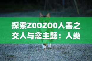 探索Z0OZO0人善之交人与禽主题：人类与动物之间互动的深度立体观察 v3.7.1下载