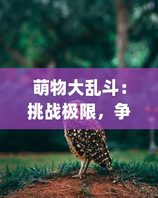 萌物大乱斗：挑战极限，争夺最强萌主，揭秘奇妙动物世界的巅峰对决