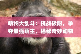 萌物大乱斗：挑战极限，争夺最强萌主，揭秘奇妙动物世界的巅峰对决