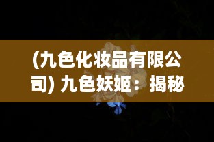 (九色化妆品有限公司) 九色妖姬：揭秘如何用传统色彩理论打造属于自己的美学世界