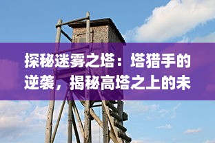 探秘迷雾之塔：塔猎手的逆袭，揭秘高塔之上的未知世界和神秘力量