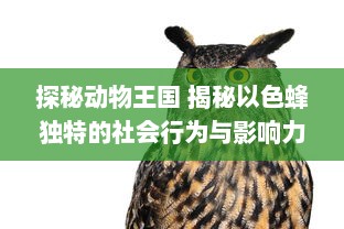 探秘动物王国 揭秘以色蜂独特的社会行为与影响力：了解它们如何通过视频传播改变生态系统