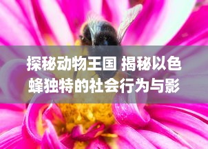 探秘动物王国 揭秘以色蜂独特的社会行为与影响力：了解它们如何通过视频传播改变生态系统