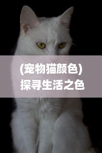 (宠物猫颜色) 探寻生活之色彩：从宠物色猫的独特肤色理解遗传物理学的奥秘