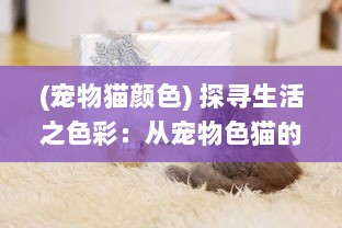 (宠物猫颜色) 探寻生活之色彩：从宠物色猫的独特肤色理解遗传物理学的奥秘