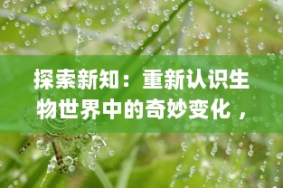 探索新知：重新认识生物世界中的奇妙变化 ，蝌蚪视频带你深入了解青蛙的成长过程 v0.4.5下载