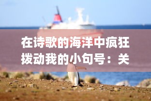 在诗歌的海洋中疯狂拨动我的小句号：关于如何通过文字表达内心世界的细腻描绘 v8.5.9下载