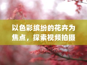 以色彩缤纷的花卉为焦点，探索视频拍摄技巧提升视觉冲击力的4个实用技巧 v0.2.1下载