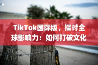 TikTok国际版，探讨全球影响力：如何打破文化壁垒，促进全球音乐与文化交流?