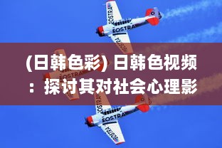 (日韩色彩) 日韩色视频：探讨其对社会心理影响及法律规制的紧迫性