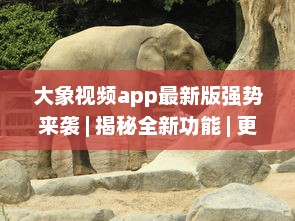 大象视频app最新版强势来袭 | 揭秘全新功能 | 更多精彩内容等你发现