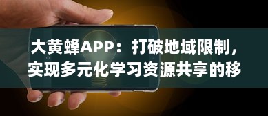 大黄蜂APP：打破地域限制，实现多元化学习资源共享的移动在线教育平台