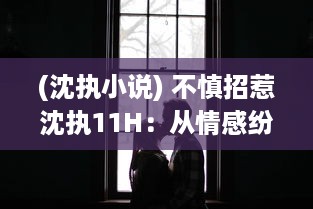 (沈执小说) 不慎招惹沈执11H：从情感纷争到深入揭秘他的不为人知的彩色人生