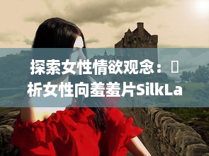 探索女性情欲观念：評析女性向羞羞片SilkLabo在性權和愛情敘事中的表現及影響