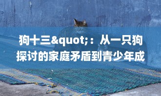 狗十三"：从一只狗探讨的家庭矛盾到青少年成长的社会现实，对中华传统文化的深度解读